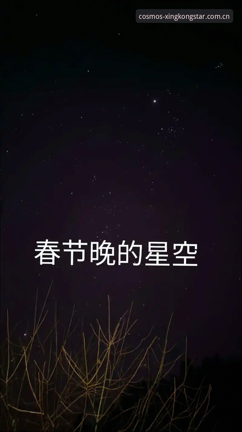 星空娱乐平台2025新版深度评测：一个技术人员的48小时实测报告